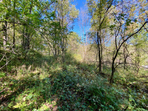 Photo for 20513 Highway 248, Rollingstone, MN 55969 - Listing #6106469 20513 Highway 248, Rollingstone, MN 55969