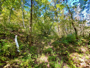 Photo for 20513 Highway 248, Rollingstone, MN 55969 - Listing #6106469 20513 Highway 248, Rollingstone, MN 55969