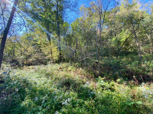 Photo for 20513 Highway 248, Rollingstone, MN 55969 - Listing #6106469 20513 Highway 248, Rollingstone, MN 55969