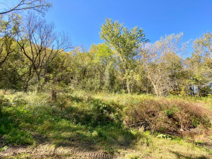 Photo for 20513 Highway 248, Rollingstone, MN 55969 - Listing #6106469 20513 Highway 248, Rollingstone, MN 55969