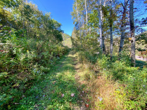 Photo for 20513 Highway 248, Rollingstone, MN 55969 - Listing #6106469 20513 Highway 248, Rollingstone, MN 55969