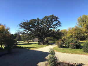 Photo for 5225 Meadow Crossing Road SW, Rochester, MN 55902 - Listing #6102841 5225 Meadow Crossing Road SW, Rochester, MN 55902