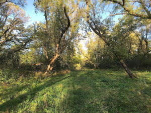 Photo for 5225 Meadow Crossing Road SW, Rochester, MN 55902 - Listing #6102841 5225 Meadow Crossing Road SW, Rochester, MN 55902