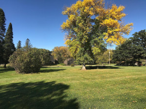 Photo for 5225 Meadow Crossing Road SW, Rochester, MN 55902 - Listing #6102841 5225 Meadow Crossing Road SW, Rochester, MN 55902