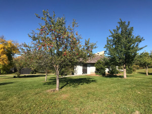 Photo for 5225 Meadow Crossing Road SW, Rochester, MN 55902 - Listing #6102841 5225 Meadow Crossing Road SW, Rochester, MN 55902
