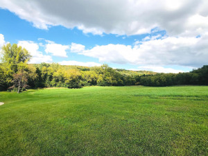 Photo for 5225 Meadow Crossing Road SW, Rochester, MN 55902 - Listing #6102841 5225 Meadow Crossing Road SW, Rochester, MN 55902