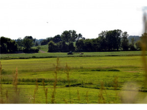 Photo for 9605 320th Street W, Northfield, MN 55057 - Listing #6018858 9605 320th Street W, Northfield, MN 55057
