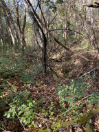 Photo for tbd W Marion Street, Lake City, MN 55041 - Listing #6115608 tbd W Marion Street, Lake City, MN 55041