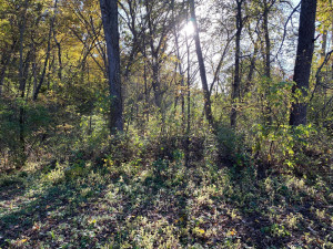 Photo for tbd W Marion Street, Lake City, MN 55041 - Listing #6115608 tbd W Marion Street, Lake City, MN 55041