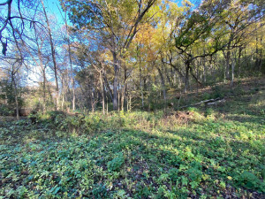 Photo for tbd W Marion Street, Lake City, MN 55041 - Listing #6115608 tbd W Marion Street, Lake City, MN 55041