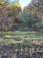 Photo for tbd W Marion Street, Lake City, MN 55041 - Listing #6115608 tbd W Marion Street, Lake City, MN 55041