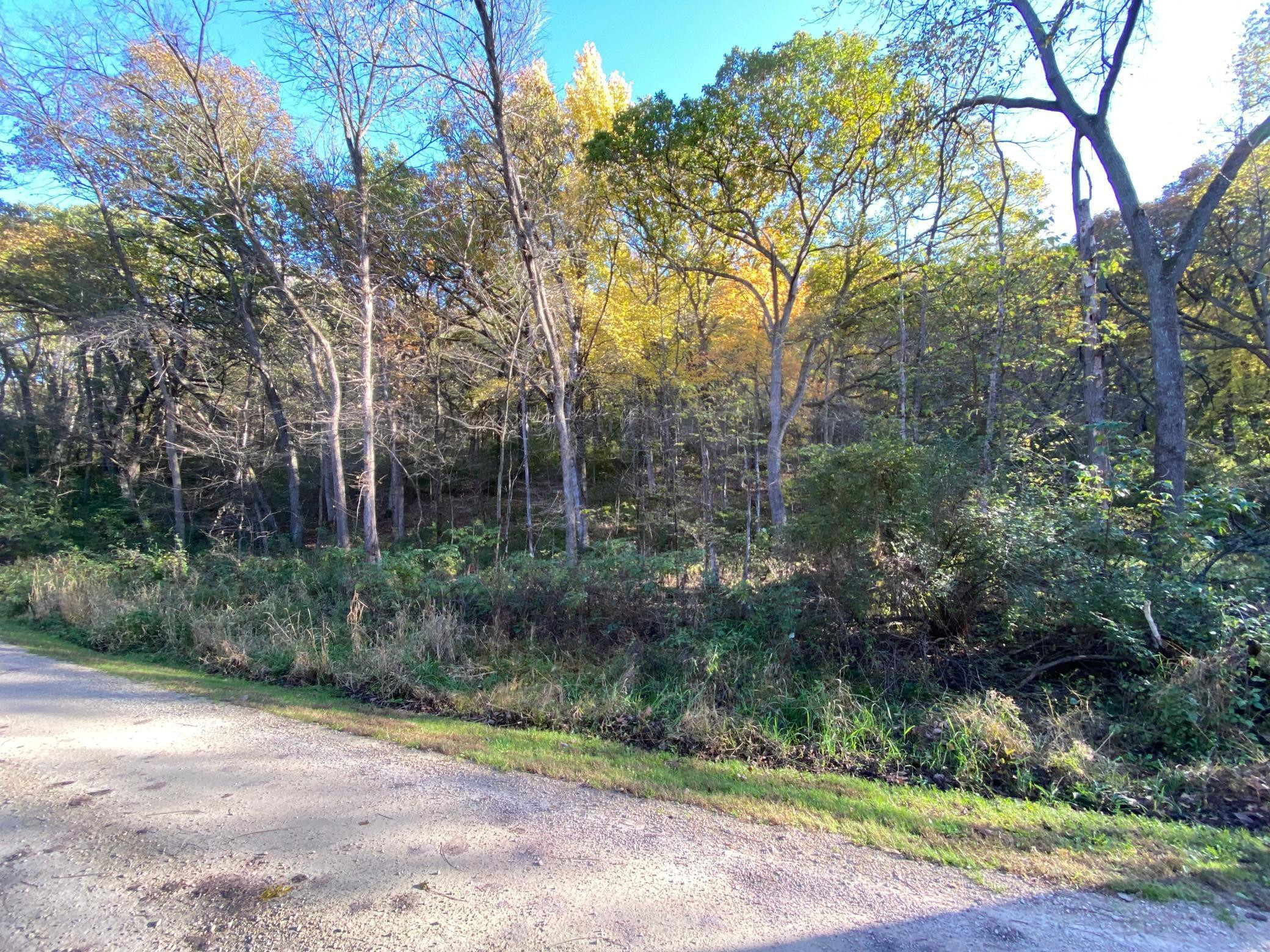 Photo for tbd W Marion Street, Lake City, MN 55041 - Listing #6115608 tbd W Marion Street, Lake City, MN 55041