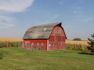 Photo for 340 Highway 52 N, Fountain, MN 55935 - Listing #6115562 340 US52 Fountain MN 55935 USA-036-042-Out Buildings-MLS_Size