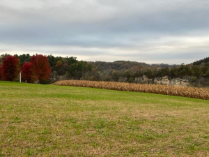 Photo for 23234 Grosbeak Road, Lanesboro, MN 55949 - Listing #6118872 23234 Grosbeak Road, Lanesboro, MN 55949