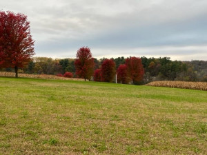 Photo for 23234 Grosbeak Road, Lanesboro, MN 55949 - Listing #6118872 23234 Grosbeak Road, Lanesboro, MN 55949