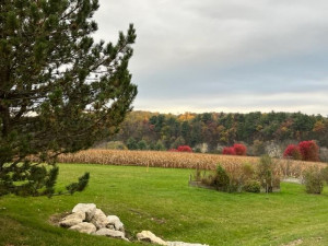 Photo for 23234 Grosbeak Road, Lanesboro, MN 55949 - Listing #6118872 23234 Grosbeak Road, Lanesboro, MN 55949