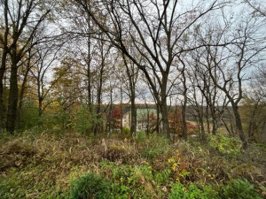 Photo for 23234 Grosbeak Road, Lanesboro, MN 55949 - Listing #6118872 23234 Grosbeak Road, Lanesboro, MN 55949