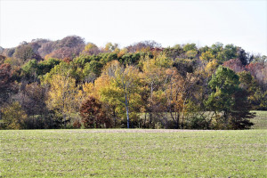 Photo for tbd 720th Street, Lake City, MN 55041 - Listing #6110771 tbd 720th Street, Lake City, MN 55041