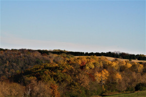 Photo for tbd 720th Street, Lake City, MN 55041 - Listing #6110771 tbd 720th Street, Lake City, MN 55041
