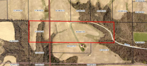 Photo for tbd 720th Street, Lake City, MN 55041 - Listing #6110771 tbd 720th Street, Lake City, MN 55041