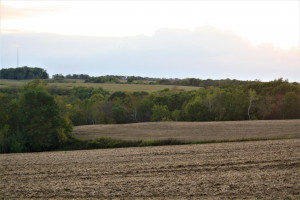 Photo for tbd 720th Street, Lake City, MN 55041 - Listing #6110771 tbd 720th Street, Lake City, MN 55041