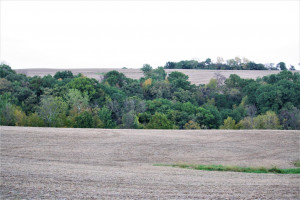 Photo for tbd 720th Street, Lake City, MN 55041 - Listing #6110771 tbd 720th Street, Lake City, MN 55041
