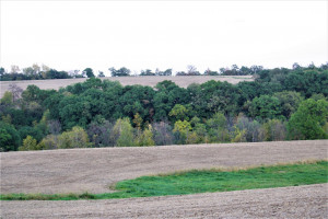 Photo for tbd 720th Street, Lake City, MN 55041 - Listing #6110771 tbd 720th Street, Lake City, MN 55041