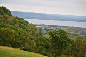 Photo for tbd 720th Street, Lake City, MN 55041 - Listing #6110771 tbd 720th Street, Lake City, MN 55041