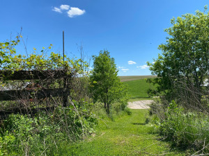 Photo for 29297 Gunflint Road, Chatfield, MN 55923 - Listing #5704761 29297 Gunflint Road, Chatfield, MN 55923