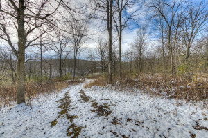 Photo for xxx Silver Fox Drive, Spring Valley, WI - Listing #6128454 xxx Silver Fox Drive, Spring Valley, WI
