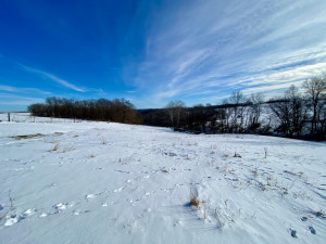 Photo for XXXX Ridgeview Road, Rushford, MN 55971 - Listing #6135411 XXXX Ridgeview Road, Rushford, MN 55971