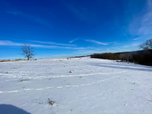 Photo for XXXX Ridgeview Road, Rushford, MN 55971 - Listing #6135411 XXXX Ridgeview Road, Rushford, MN 55971