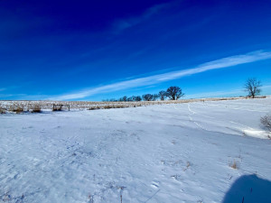 Photo for XXXX Ridgeview Road, Rushford, MN 55971 - Listing #6135411 XXXX Ridgeview Road, Rushford, MN 55971