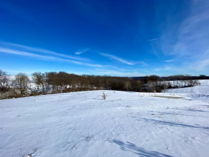 Photo for XXXX Ridgeview Road, Rushford, MN 55971 - Listing #6135411 XXXX Ridgeview Road, Rushford, MN 55971