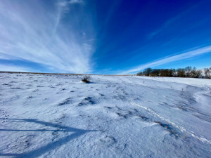 Photo for XXXX Ridgeview Road, Rushford, MN 55971 - Listing #6135411 XXXX Ridgeview Road, Rushford, MN 55971