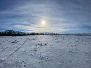Photo for XXXX Ridgeview Road, Rushford, MN 55971 - Listing #6135411 XXXX Ridgeview Road, Rushford, MN 55971