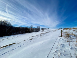 Photo for XXXX Ridgeview Road, Rushford, MN 55971 - Listing #6135411 XXXX Ridgeview Road, Rushford, MN 55971