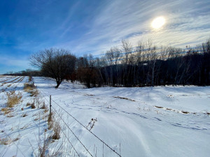 Photo for XXXX Ridgeview Road, Rushford, MN 55971 - Listing #6135411 XXXX Ridgeview Road, Rushford, MN 55971