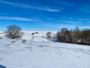 Photo for XXXX Ridgeview Road, Rushford, MN 55971 - Listing #6135411 XXXX Ridgeview Road, Rushford, MN 55971