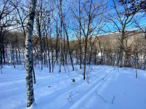Photo for XXXX Ridgeview Road, Rushford, MN 55971 - Listing #6135411 XXXX Ridgeview Road, Rushford, MN 55971