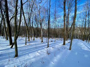 Photo for XXXX Ridgeview Road, Rushford, MN 55971 - Listing #6135411 XXXX Ridgeview Road, Rushford, MN 55971