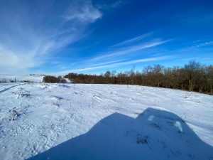 Photo for XXXX Ridgeview Road, Rushford, MN 55971 - Listing #6135411 XXXX Ridgeview Road, Rushford, MN 55971