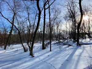 Photo for XXXX Ridgeview Road, Rushford, MN 55971 - Listing #6135411 XXXX Ridgeview Road, Rushford, MN 55971