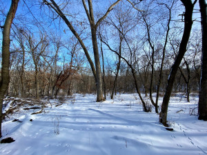 Photo for XXXX Ridgeview Road, Rushford, MN 55971 - Listing #6135411 XXXX Ridgeview Road, Rushford, MN 55971