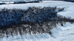 Photo for XXXX Ridgeview Road, Rushford, MN 55971 - Listing #6135411 XXXX Ridgeview Road, Rushford, MN 55971