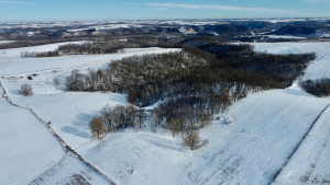 Photo for XXXX Ridgeview Road, Rushford, MN 55971 - Listing #6135411 XXXX Ridgeview Road, Rushford, MN 55971