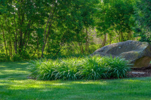 Photo for 670 Norton Street, Hammond, WI - Listing #6137051 670 Norton Street, Hammond, WI