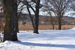 Photo for 13614 Highway 52 SE, Chatfield, MN 55923 - Listing #6125954 13614 Highway 52 SE, Chatfield, MN 55923