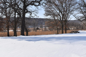 Photo for 13614 Highway 52 SE, Chatfield, MN 55923 - Listing #6125954 13614 Highway 52 SE, Chatfield, MN 55923