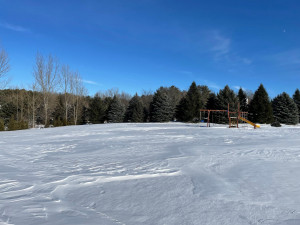 Photo for 979 172nd Street, Hammond, WI - Listing #6138618 979 172nd Street, Hammond, WI